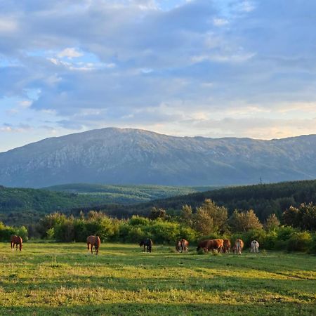 Vila Ranc Crna Stina Livno Exteriér fotografie