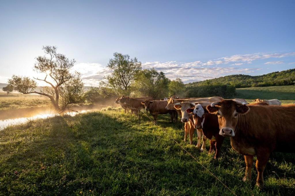 Vila Ranc Crna Stina Livno Exteriér fotografie