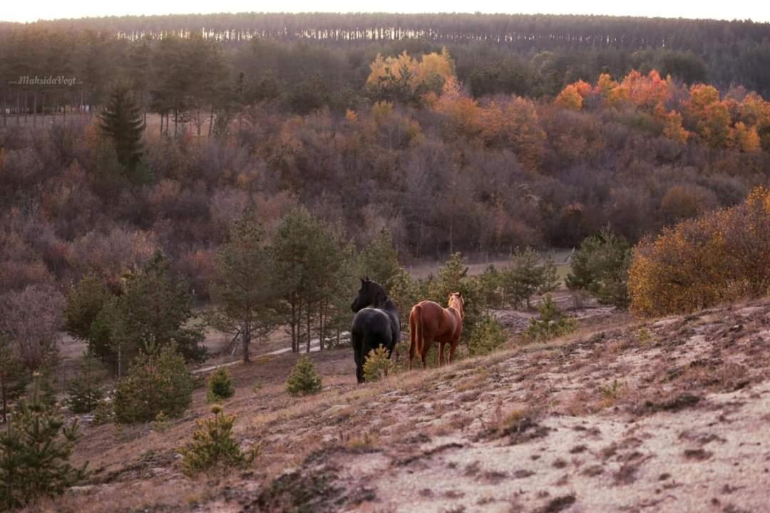 Vila Ranc Crna Stina Livno Exteriér fotografie