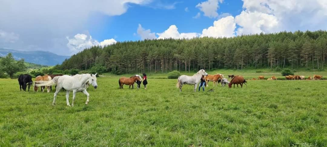 Vila Ranc Crna Stina Livno Exteriér fotografie