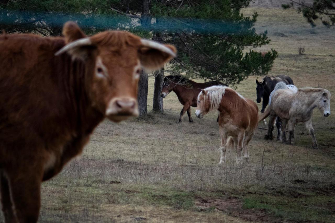 Vila Ranc Crna Stina Livno Exteriér fotografie