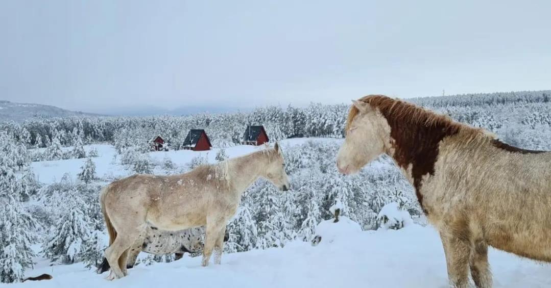 Vila Ranc Crna Stina Livno Exteriér fotografie