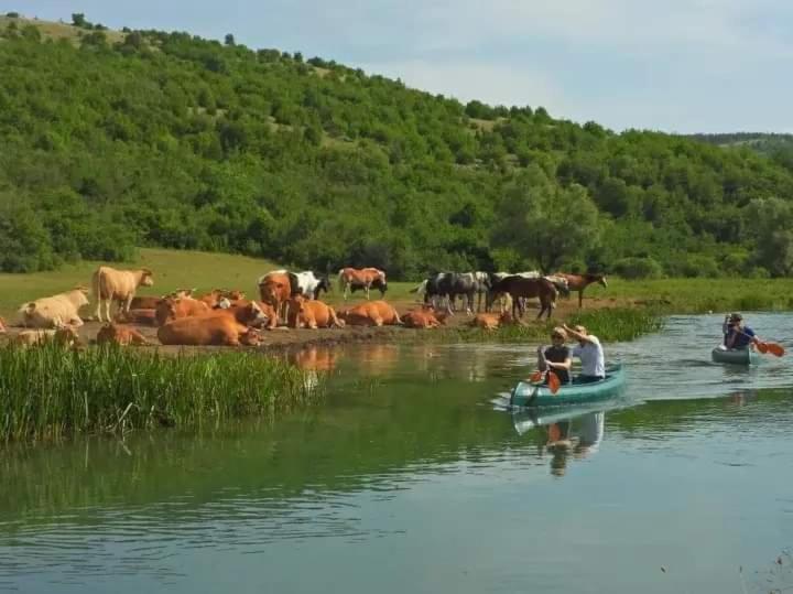 Vila Ranc Crna Stina Livno Exteriér fotografie