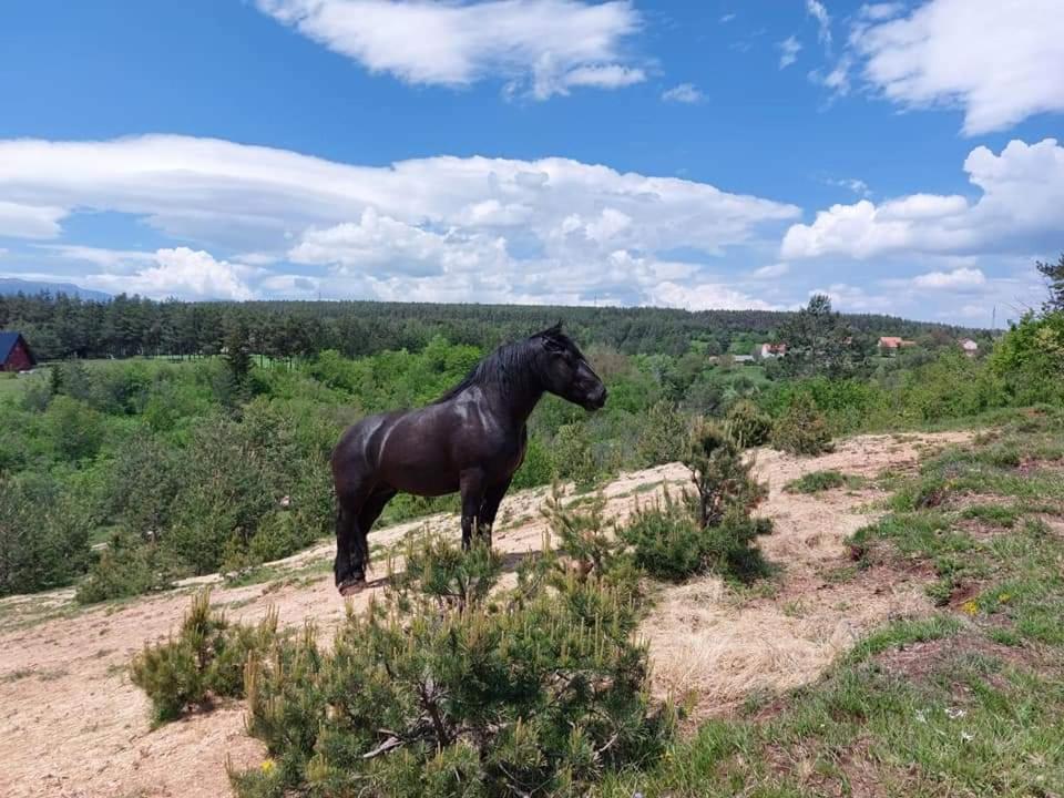 Vila Ranc Crna Stina Livno Exteriér fotografie