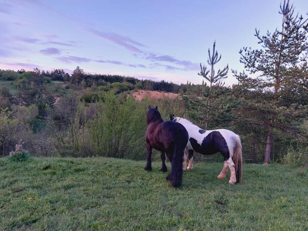 Vila Ranc Crna Stina Livno Exteriér fotografie