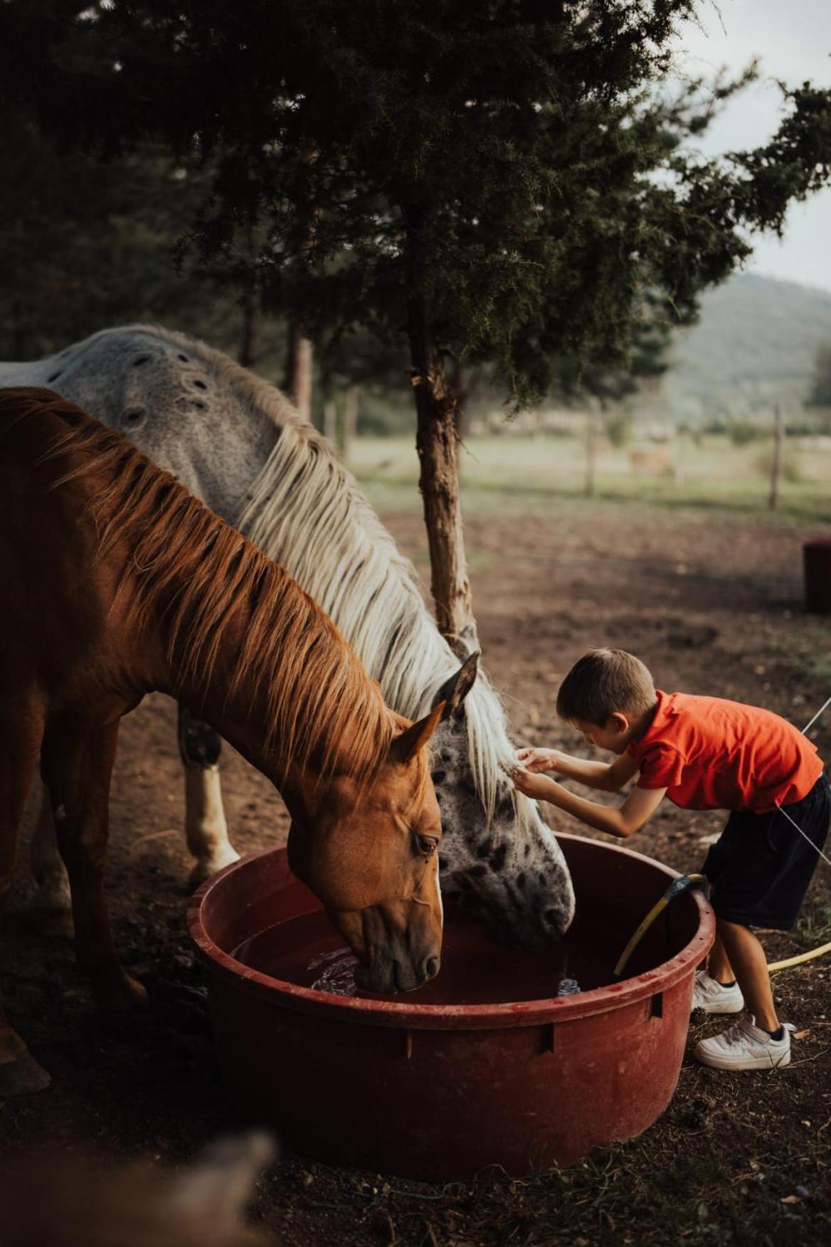 Vila Ranc Crna Stina Livno Exteriér fotografie