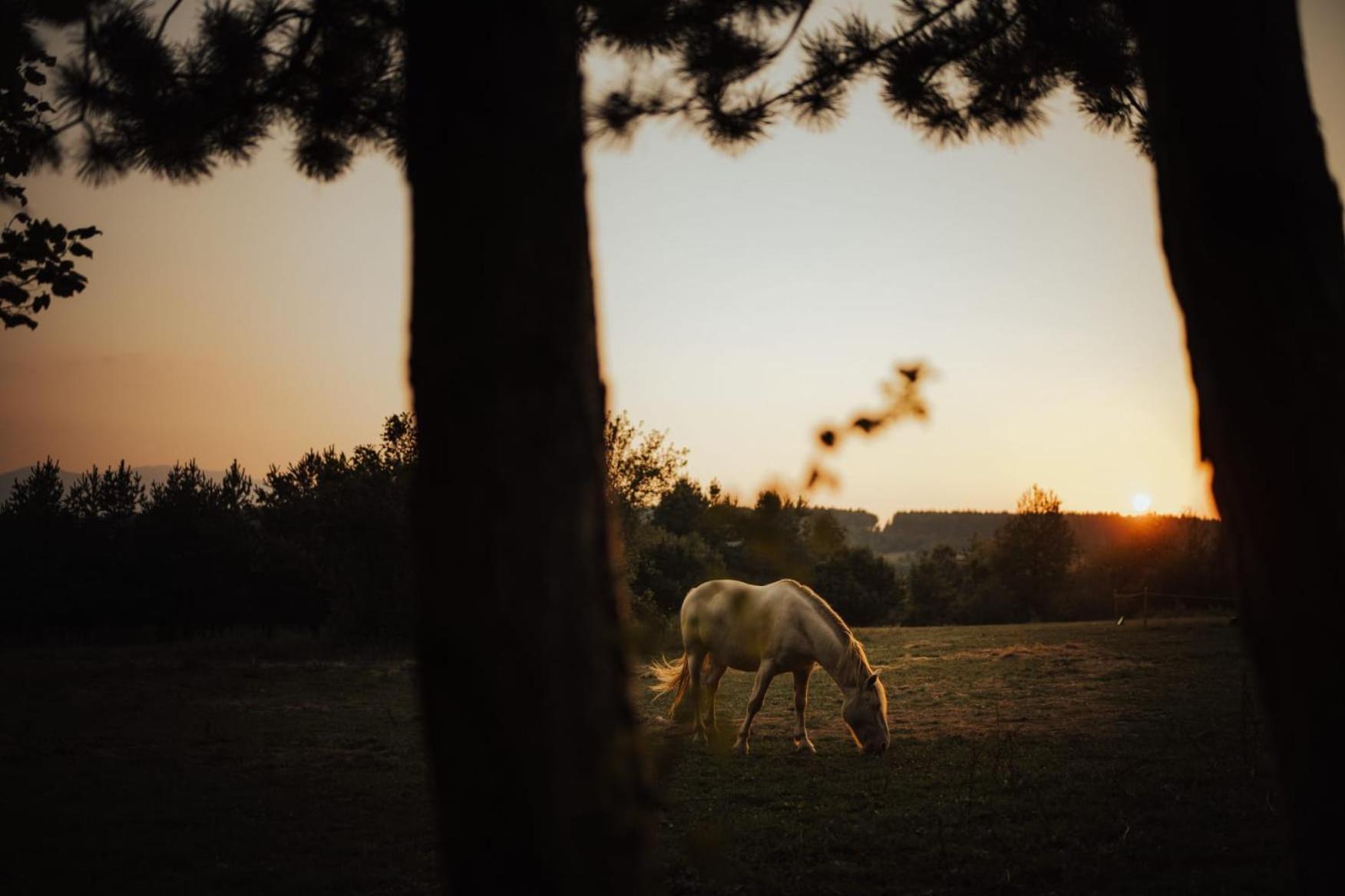 Vila Ranc Crna Stina Livno Exteriér fotografie