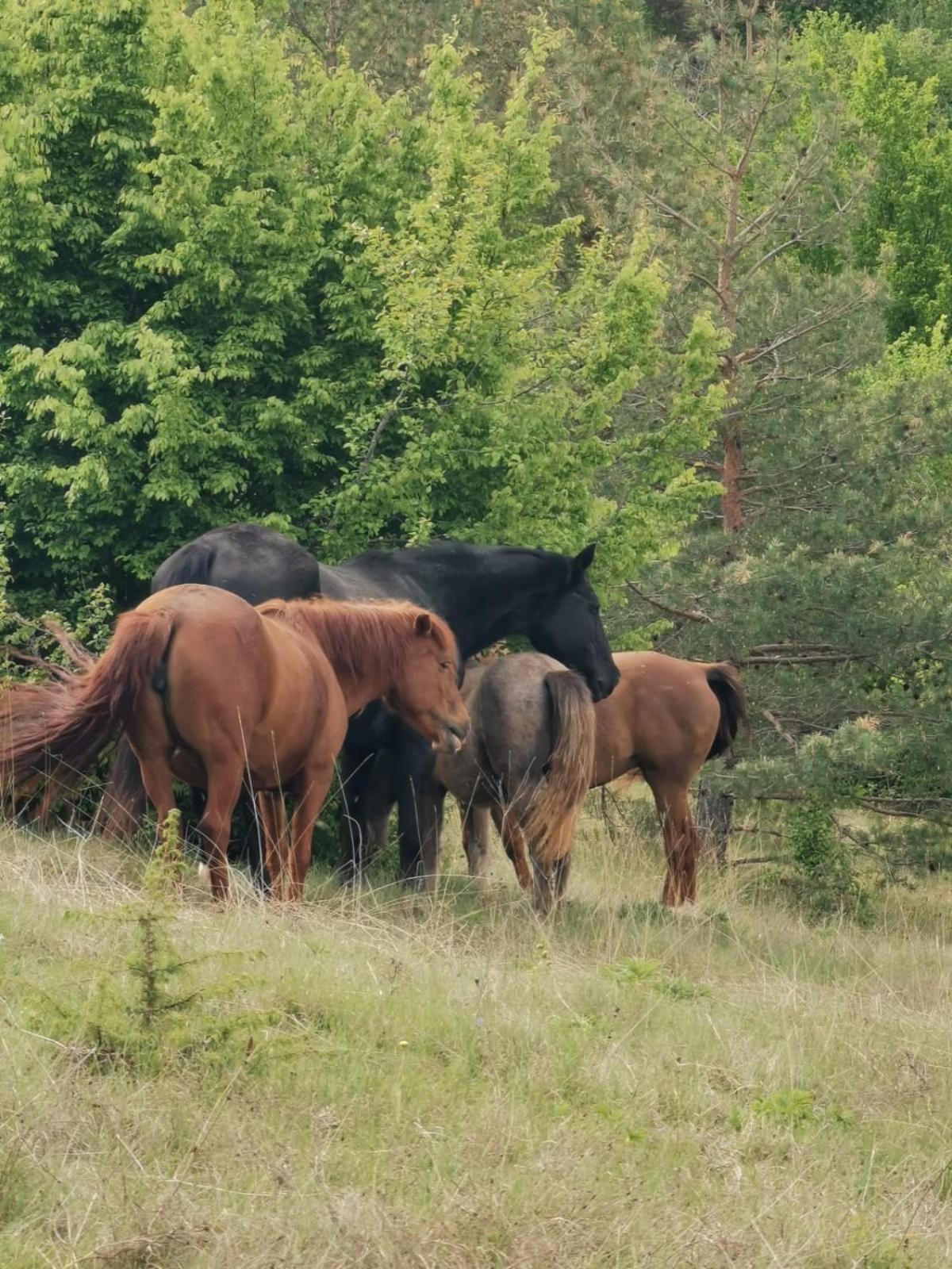 Vila Ranc Crna Stina Livno Exteriér fotografie